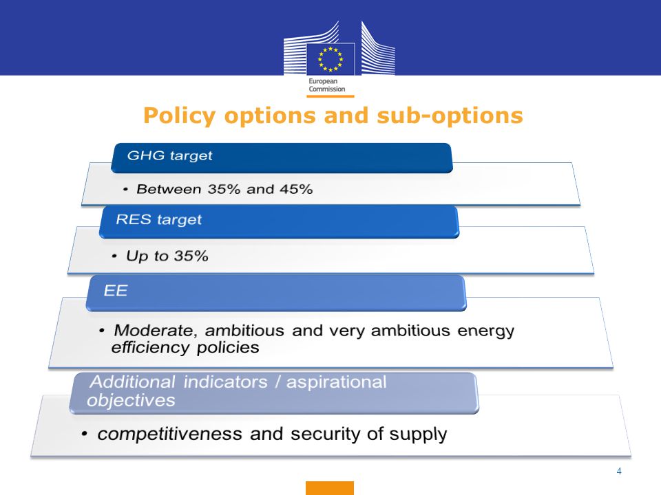 Policy options and sub-options