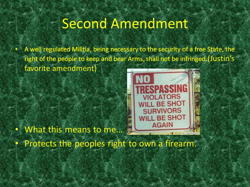Second Amendment What this means to me…