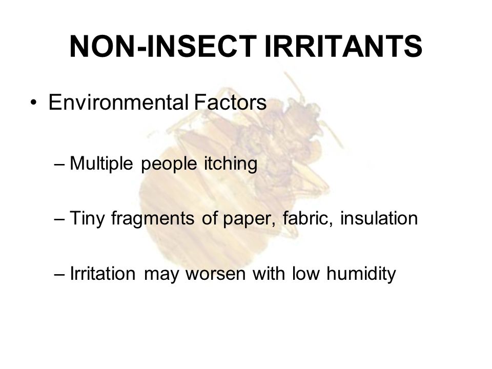 NON-INSECT IRRITANTS Environmental Factors Multiple people itching