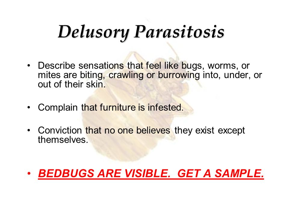Delusory Parasitosis BEDBUGS ARE VISIBLE. GET A SAMPLE.