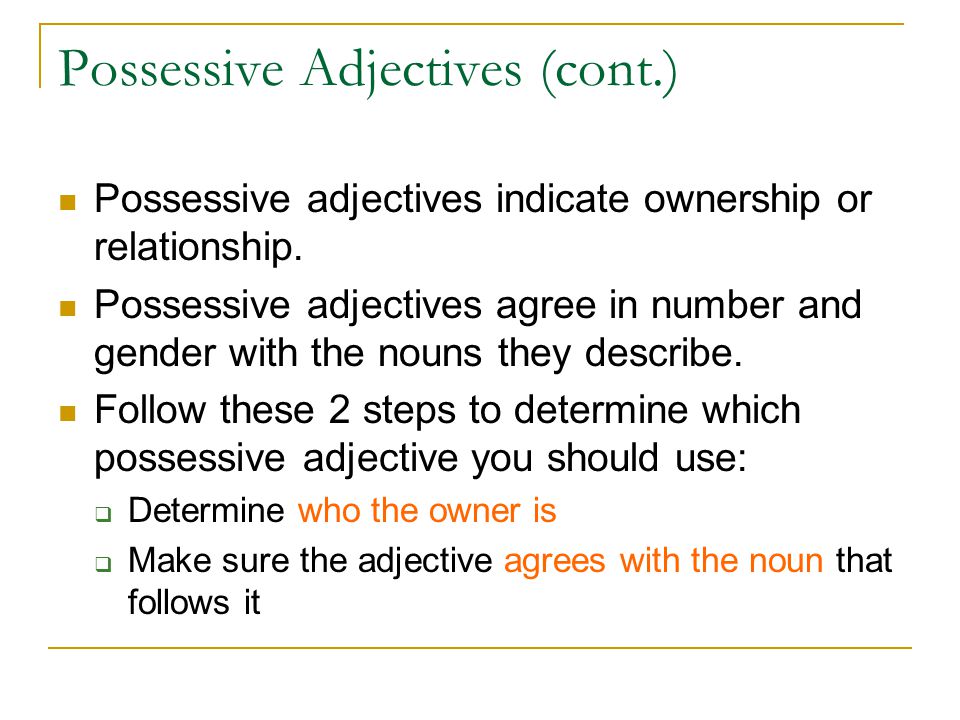 Possessive Adjectives (cont.)