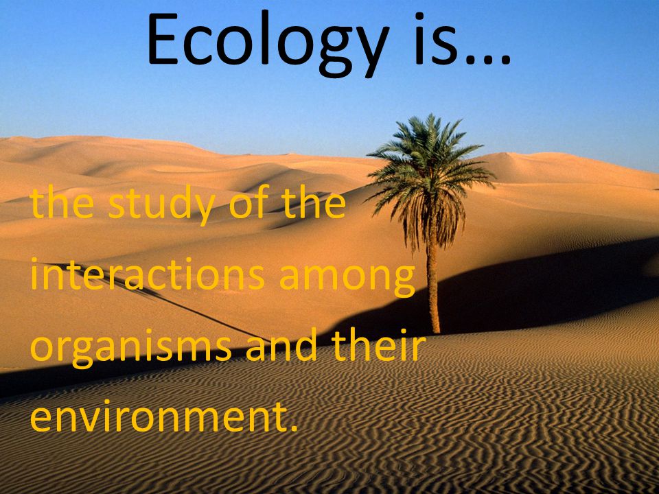 Ecology is… the study of the interactions among organisms and their environment.