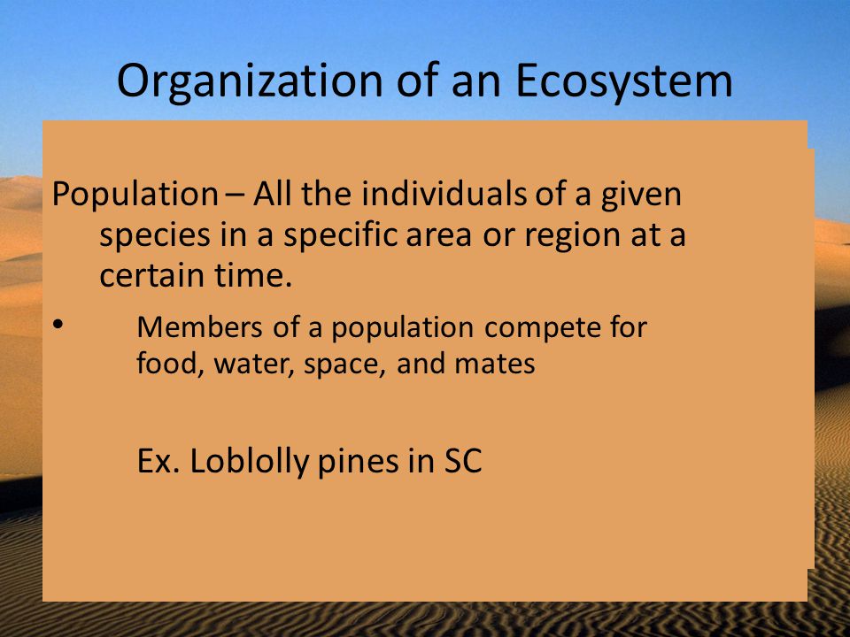 Organization of an Ecosystem
