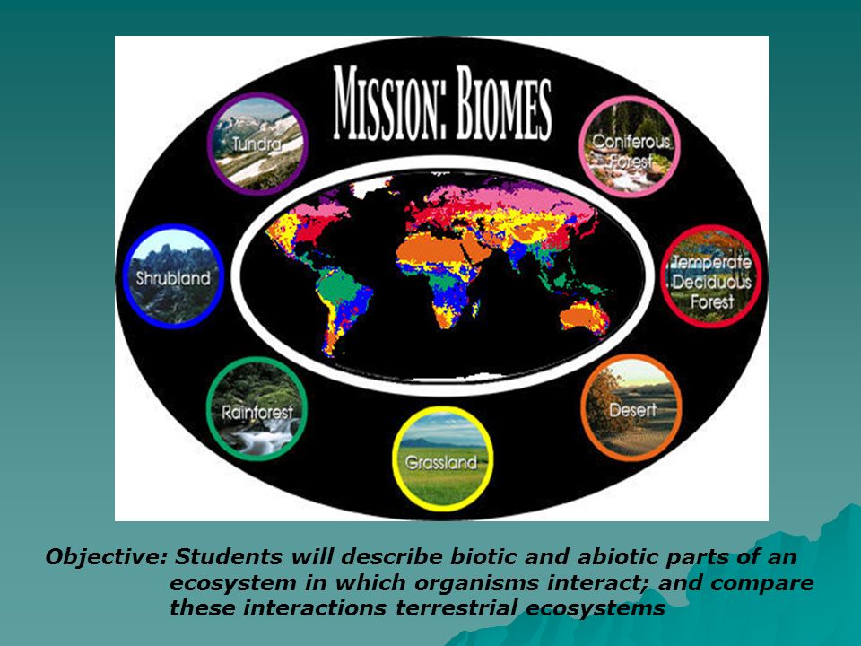 Objective: Students will describe biotic and abiotic parts of an