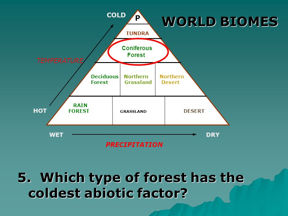 5. Which type of forest has the coldest abiotic factor
