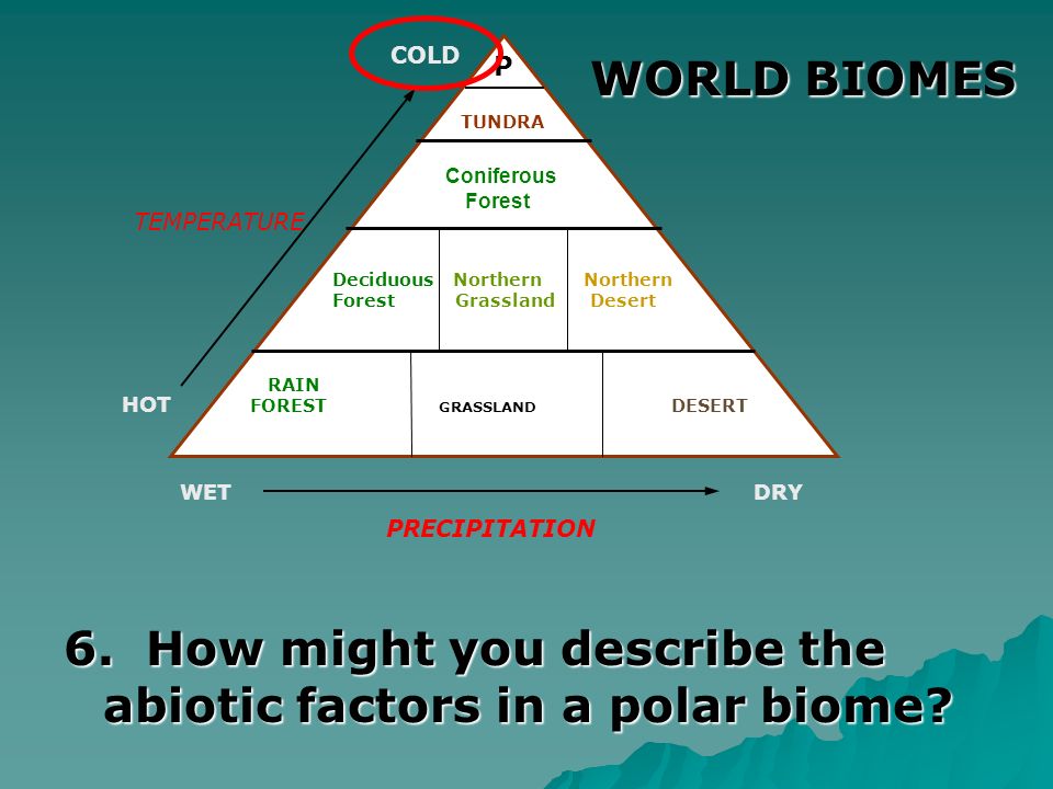 6. How might you describe the abiotic factors in a polar biome