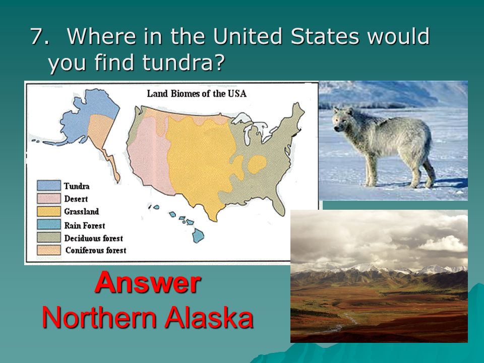 Answer Northern Alaska