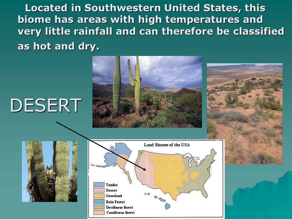 Located in Southwestern United States, this biome has areas with high temperatures and very little rainfall and can therefore be classified as hot and dry.