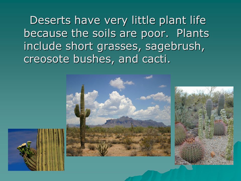 Deserts have very little plant life because the soils are poor