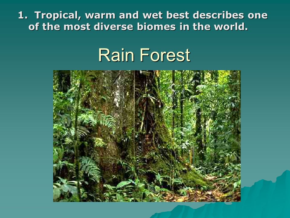 1. Tropical, warm and wet best describes one of the most diverse biomes in the world.