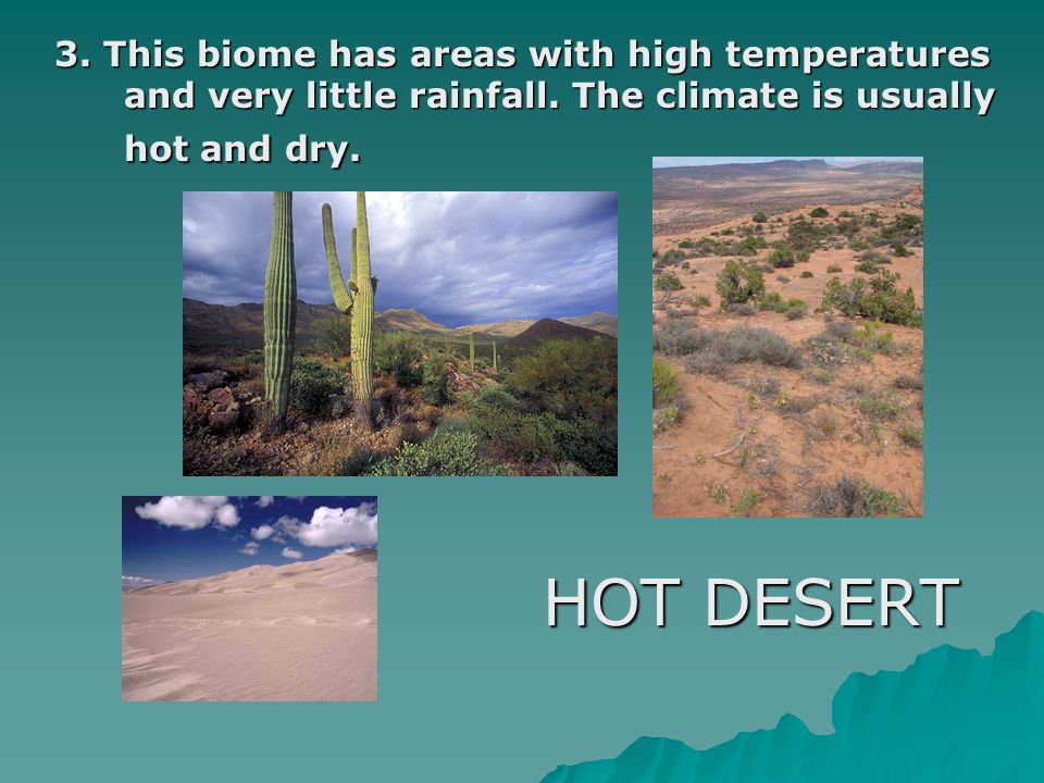 3. This biome has areas with high temperatures and very little rainfall. The climate is usually hot and dry.
