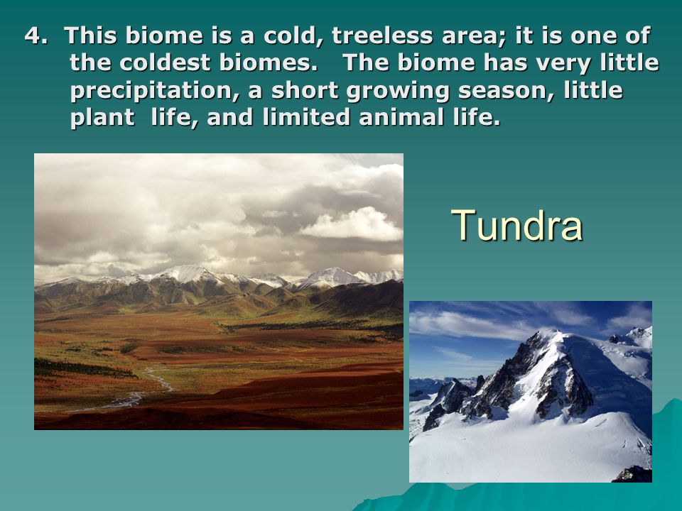 4. This biome is a cold, treeless area; it is one of the coldest biomes. The biome has very little precipitation, a short growing season, little plant life, and limited animal life.