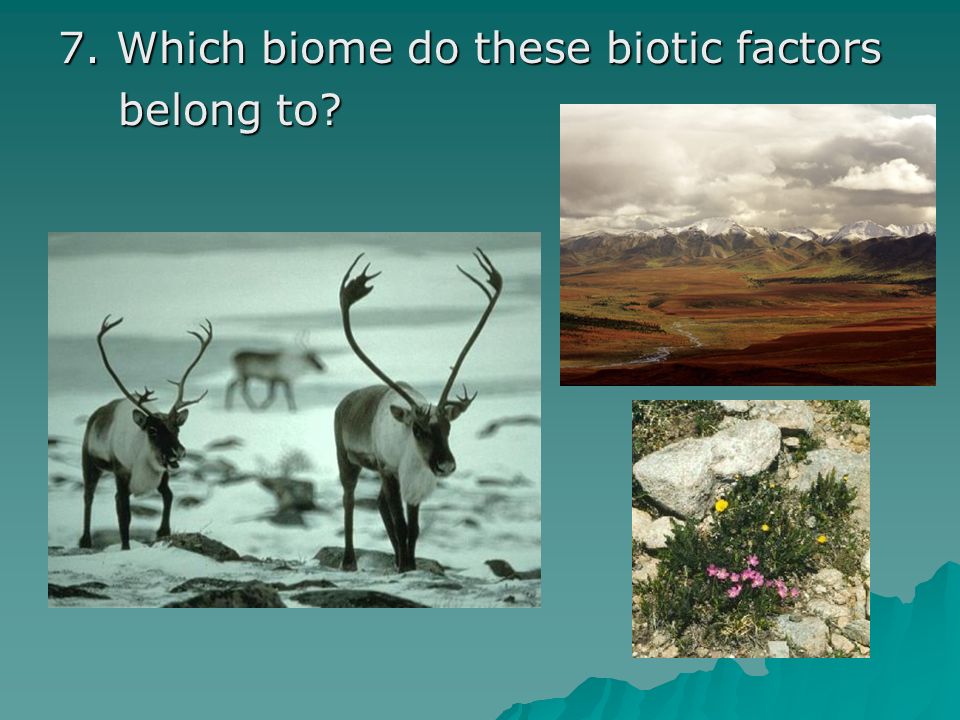 7. Which biome do these biotic factors