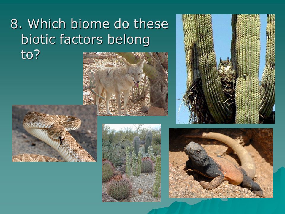 8. Which biome do these biotic factors belong to