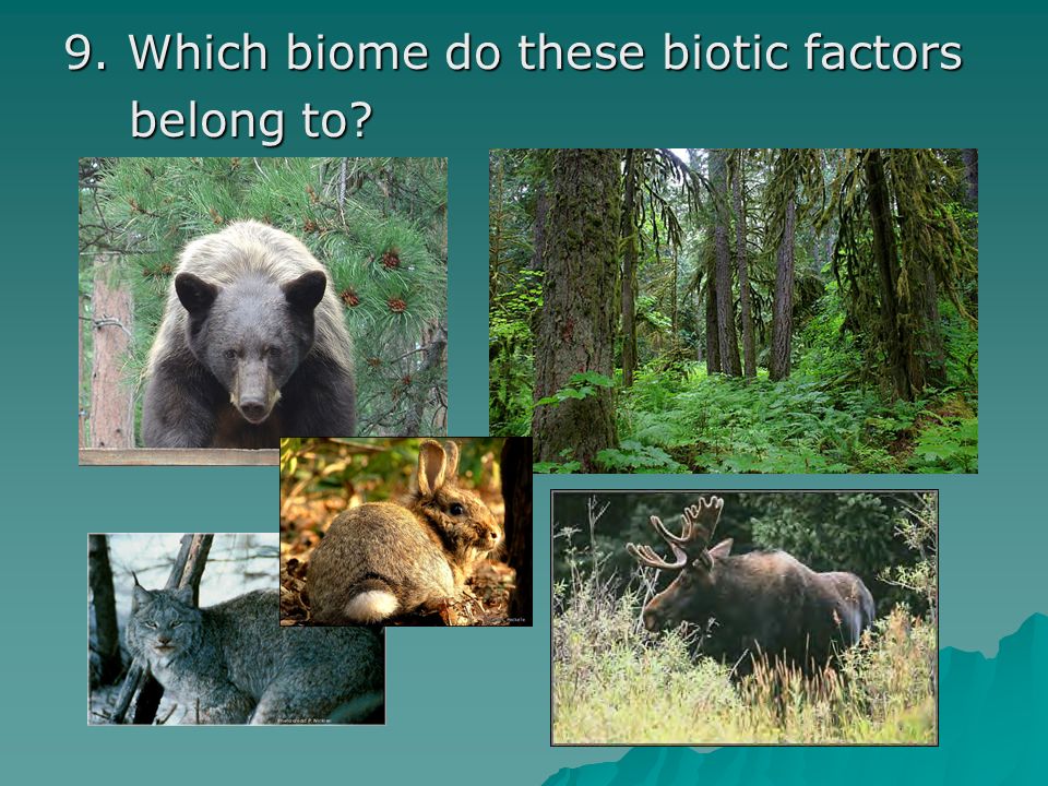 9. Which biome do these biotic factors