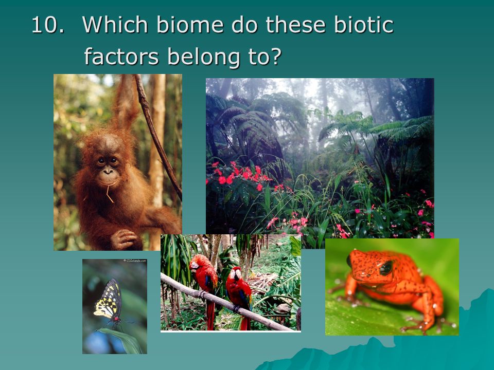 10. Which biome do these biotic