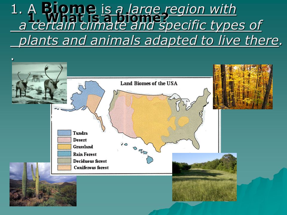 1. A Biome is a large region with
