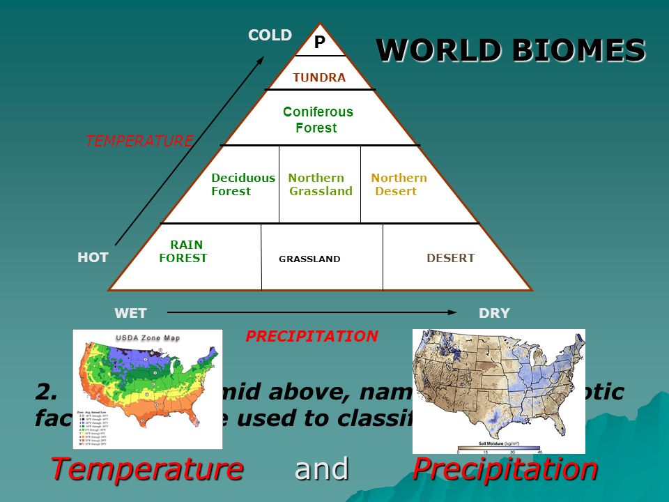 Temperature and Precipitation