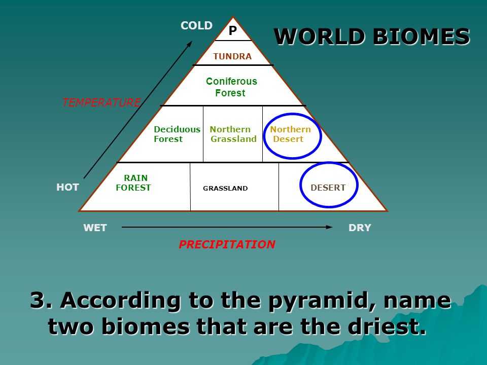 3. According to the pyramid, name two biomes that are the driest.