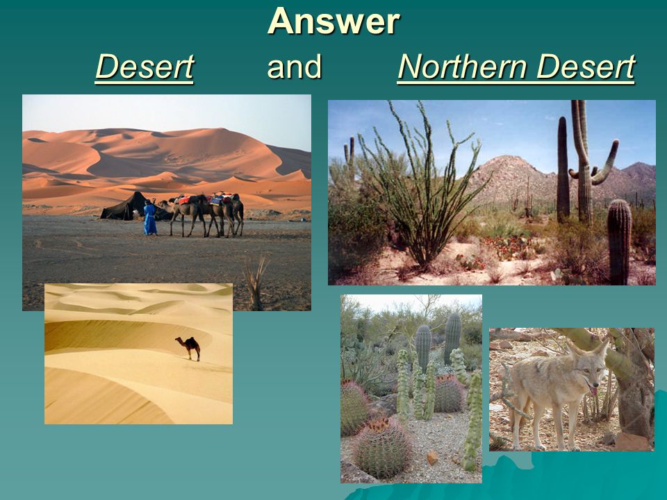 Answer Desert and Northern Desert