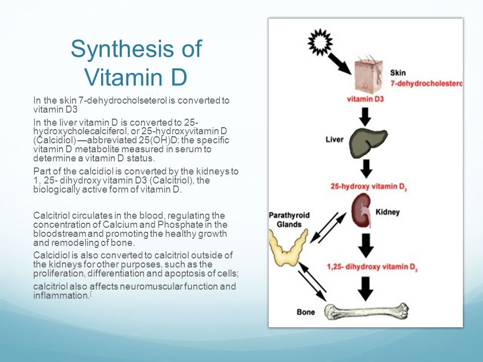 Vitamin D Deficiency In Children Ppt Download