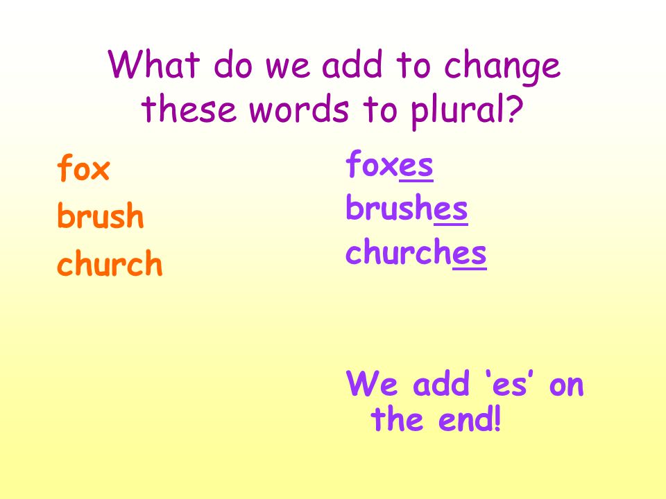 What do we add to change these words to plural