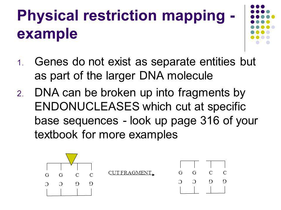 restriction mapping example