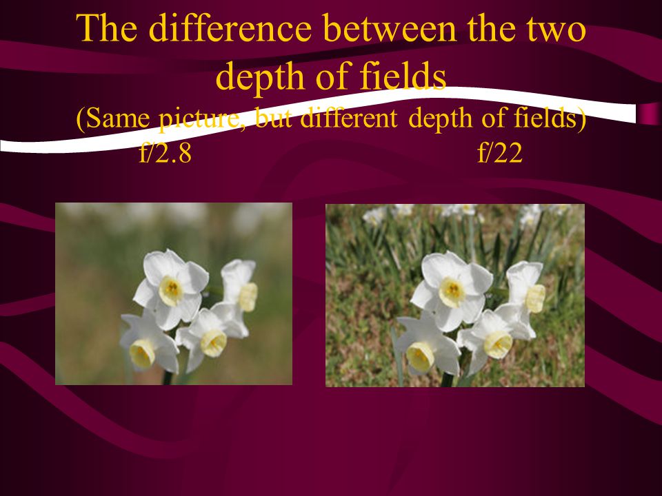 The difference between the two depth of fields (Same picture, but different depth of fields) f/2.8 f/22