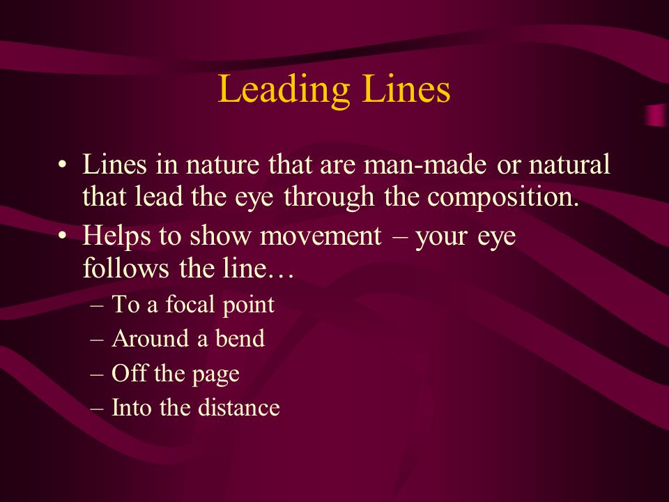 Leading Lines Lines in nature that are man-made or natural that lead the eye through the composition.