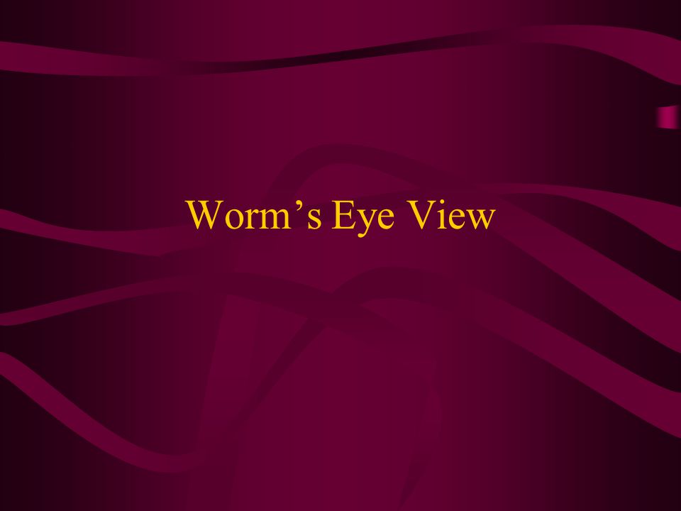 Worm’s Eye View