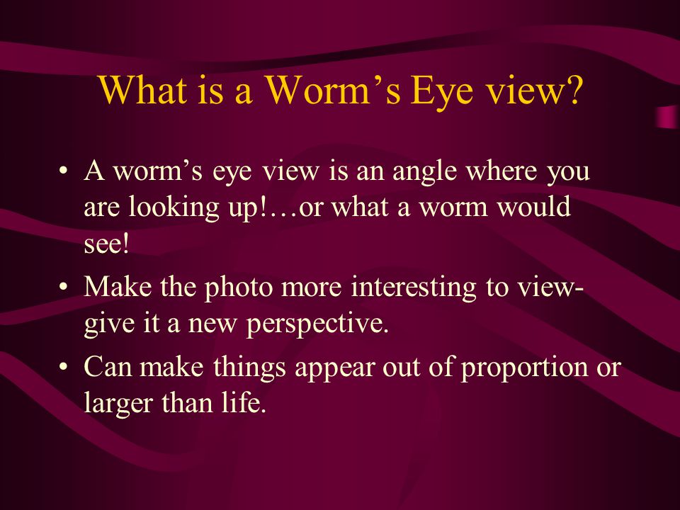 What is a Worm’s Eye view
