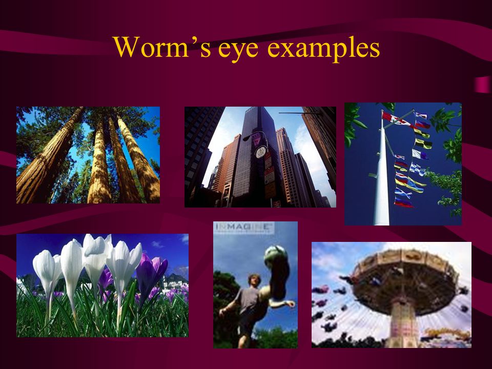 Worm’s eye examples