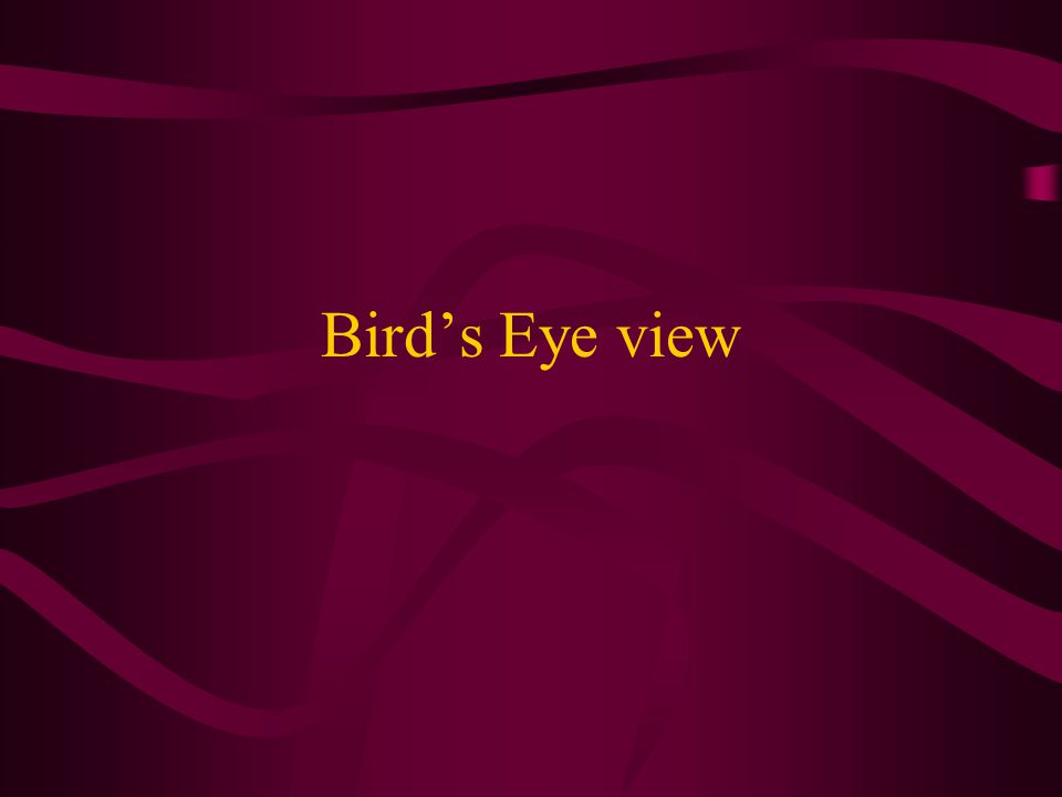 Bird’s Eye view