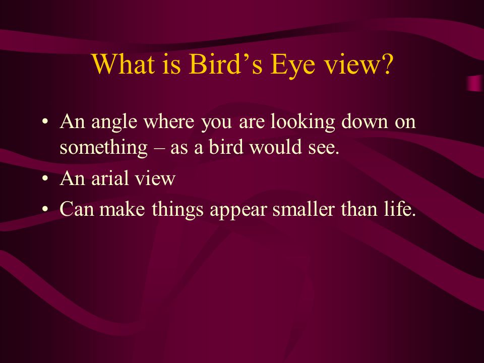 What is Bird’s Eye view An angle where you are looking down on something – as a bird would see. An arial view.