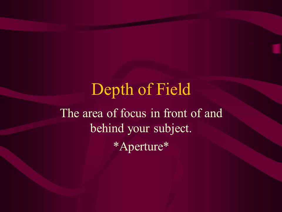 The area of focus in front of and behind your subject. *Aperture*