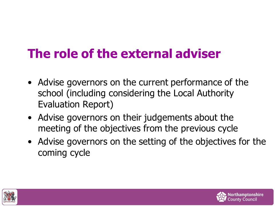 The role of the external adviser