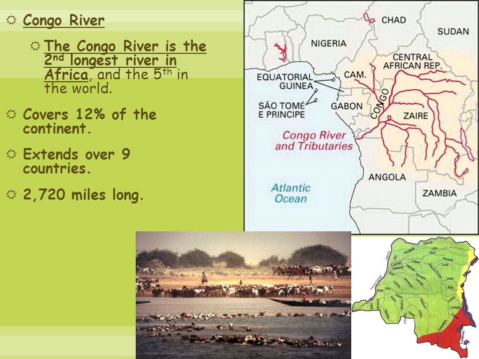 Направление реки конго. Рекваконго на карте. Река Конго на карте. Река Конго пересекает на карте. Направление реки Конго на карте.