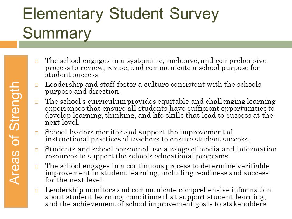 Elementary Student Survey Summary