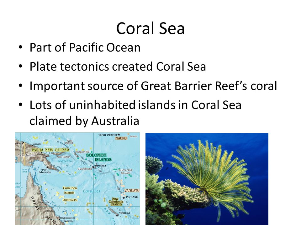 Coral Sea Part of Pacific Ocean Plate tectonics created Coral Sea