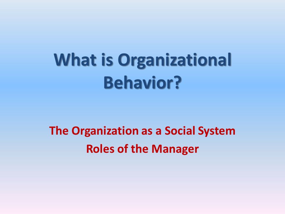What is Organizational Behavior