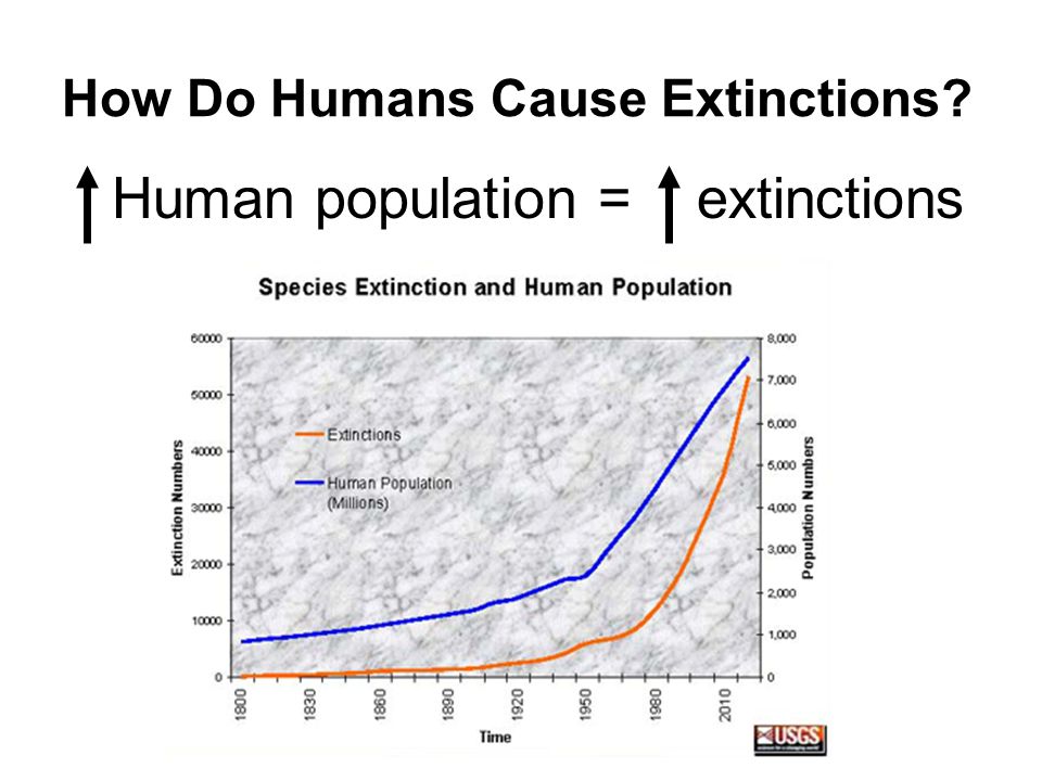 How Do Humans Cause Extinctions