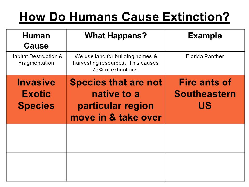 How Do Humans Cause Extinction