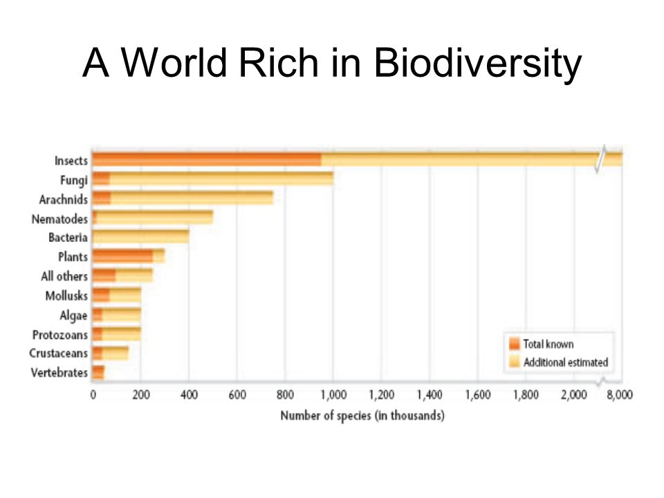 A World Rich in Biodiversity