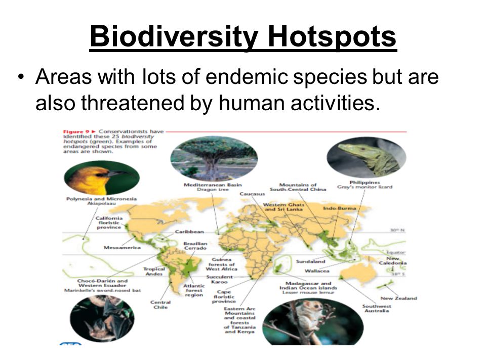 Biodiversity Hotspots