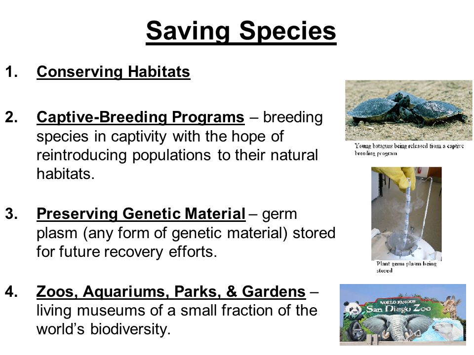 Saving Species Conserving Habitats