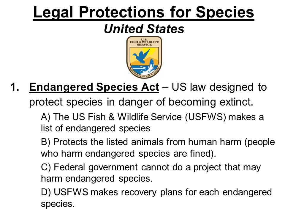 Legal Protections for Species United States