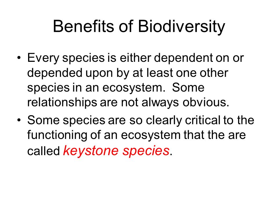 Benefits of Biodiversity