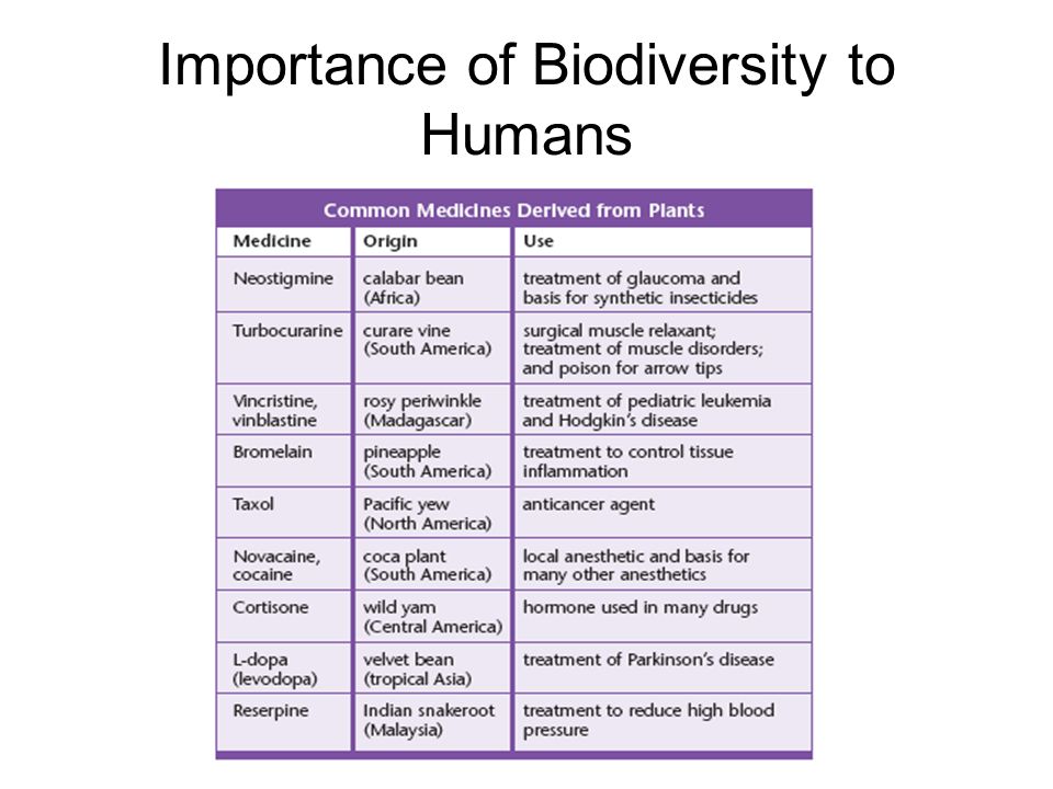 Importance of Biodiversity to Humans