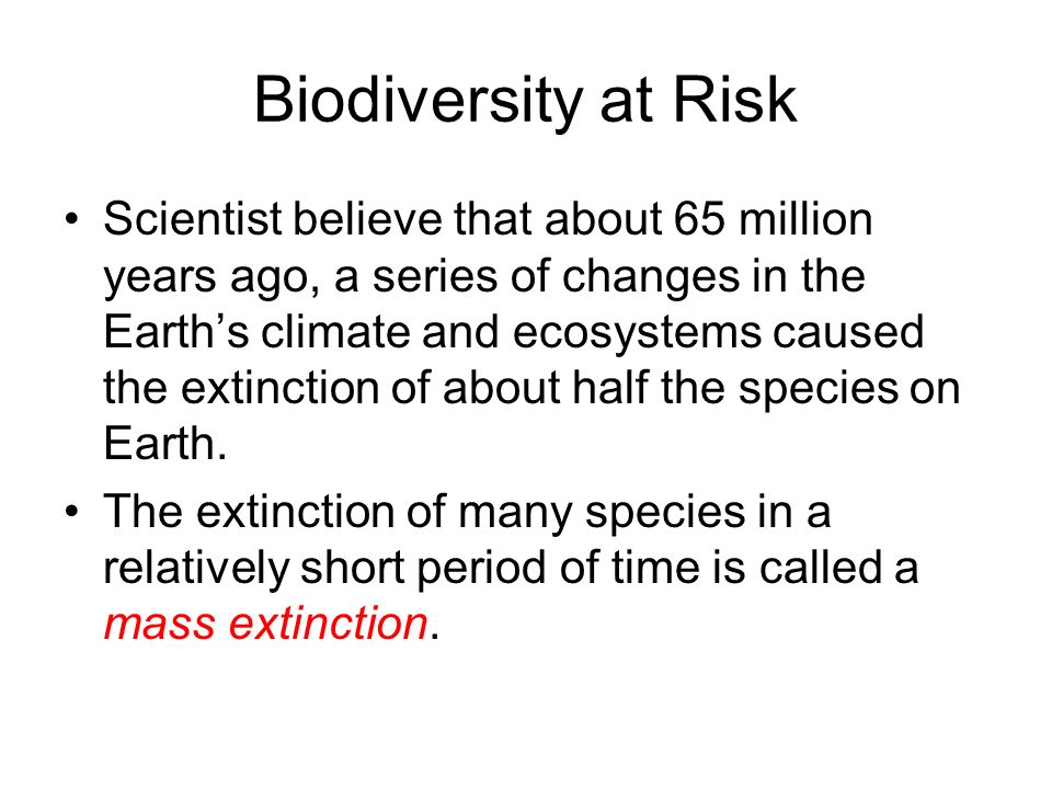 Biodiversity at Risk