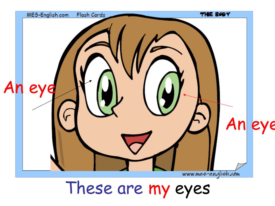 An eye An eye These are my eyes
